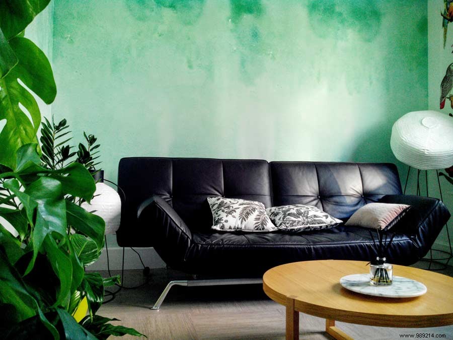 Scenolia s 2016 Highlights: Innovative Wallpapers, Team Growth, and Customer Inspirations