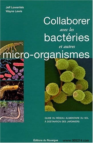 Collaborate with Bacteria: The Essential Soil Food Web Guide for Gardeners