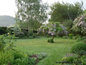 Expert Guide to Garden Layout Planning: Where to Start