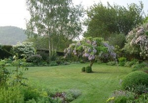 Expert Guide to Garden Layout Planning: Where to Start