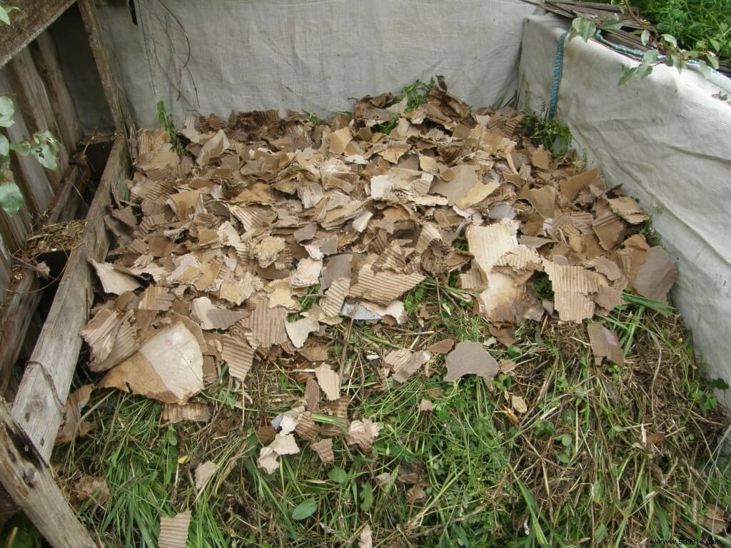 How to Turn Your Compost Heap: Essential Autumn Maintenance for Rich Soil