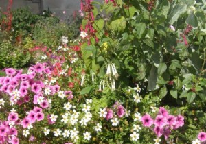 Best Potting Soil for Planters: Expert Guide to Thriving Container Gardens