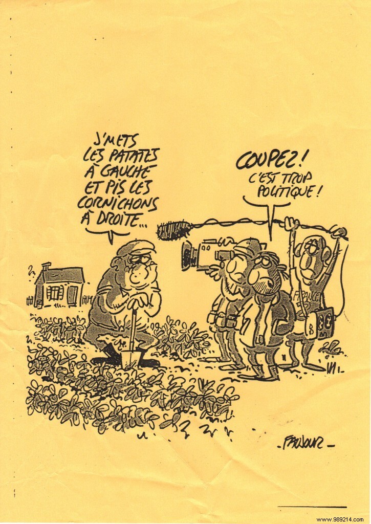 Vegetable Companion Planting: Key Unfavorable Associations to Avoid