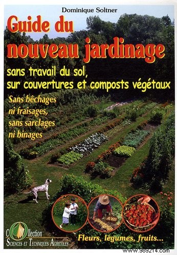 Transforming Raspberry Beds After Harvest: A Proven Technique from Expert Gardener Dominique Soltner