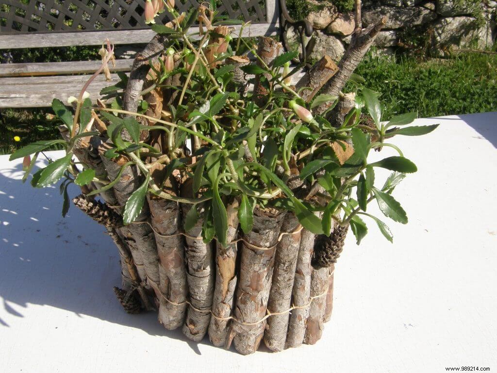 How to Protect Terracotta Pots from Frost Damage: Expert Gardening Tips