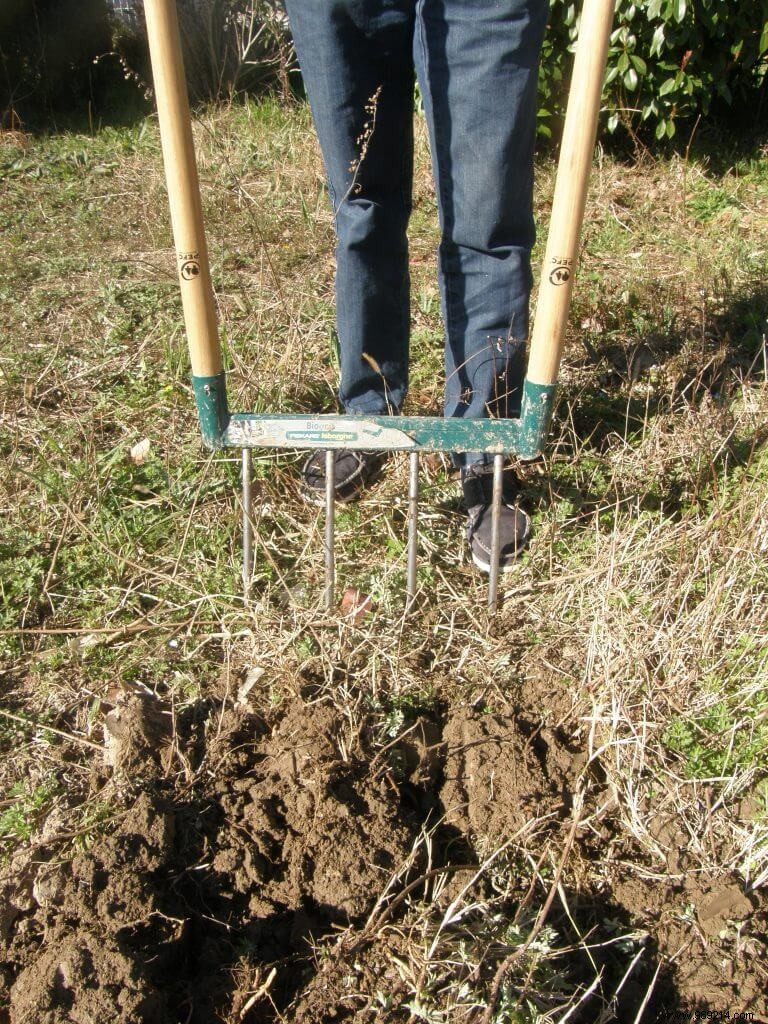 April Soil Preparation: Aerate Without Tilling for Thriving Living Soil