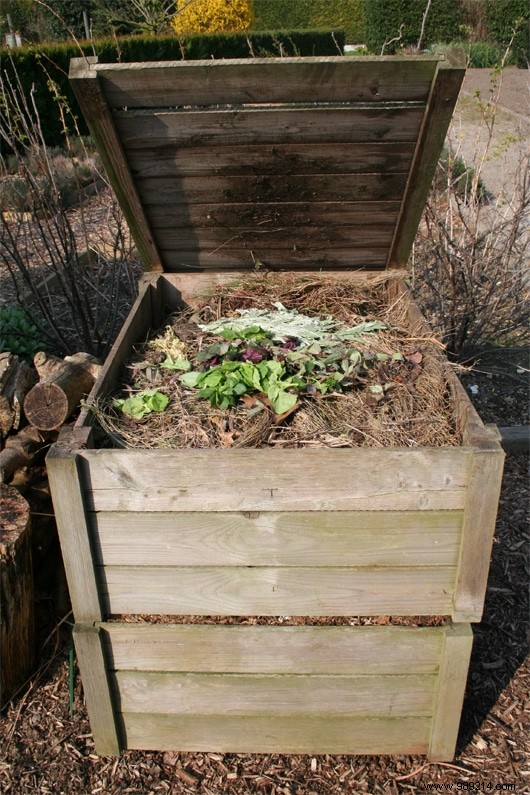 How to Set Up a Home Composter: Proven Tips from Years of Experience