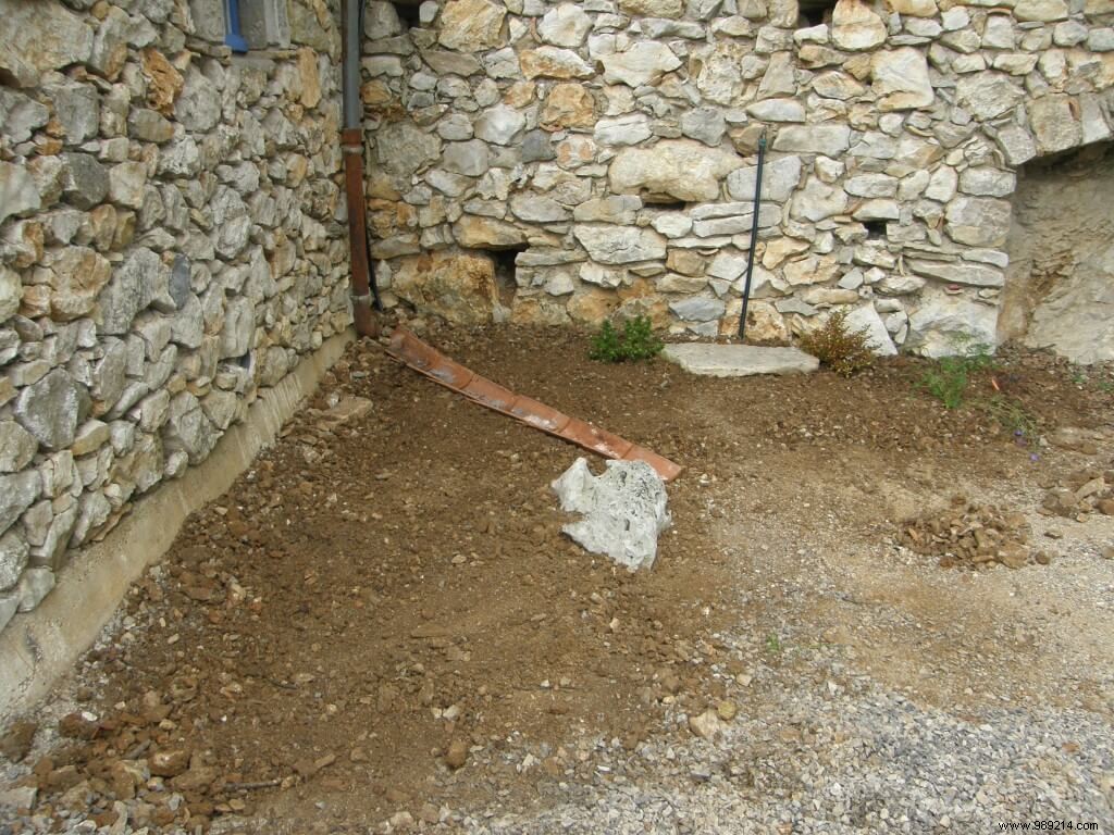 How I Built a Thriving Perennial Flower Bed: A Gardener s Step-by-Step Experience