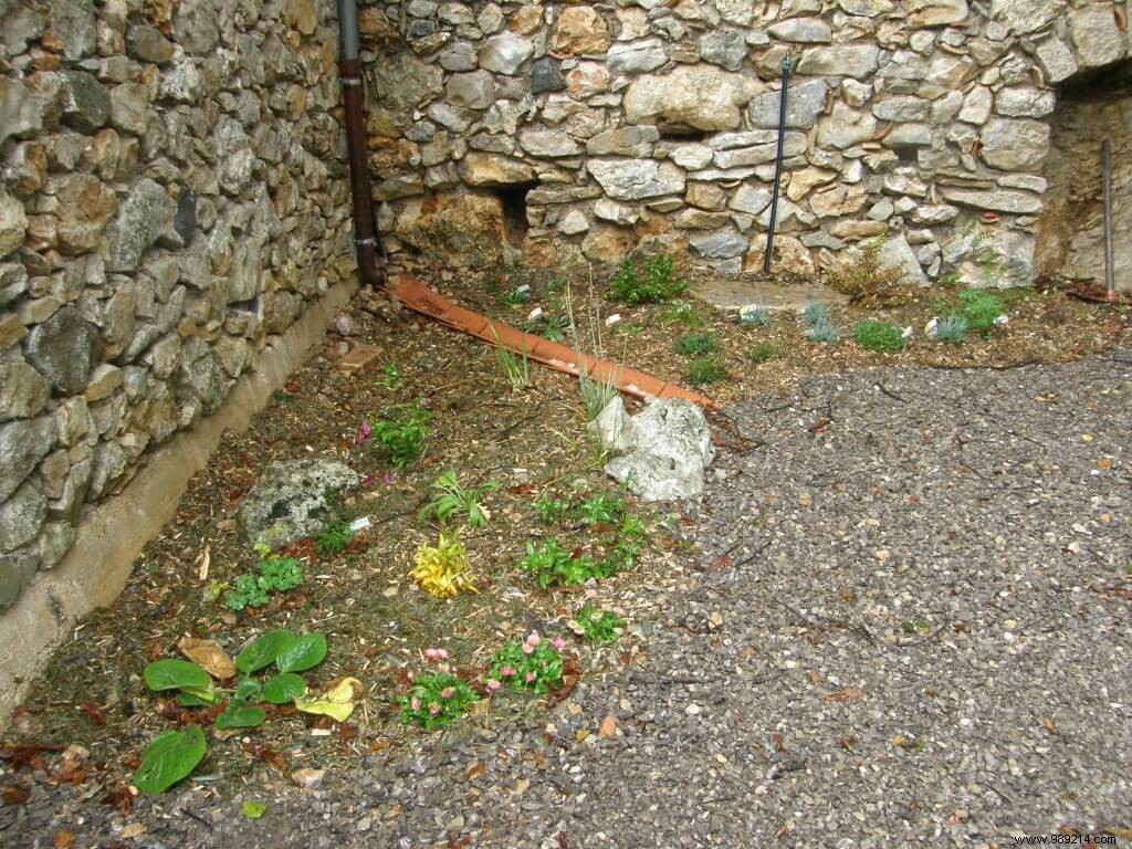 How I Built a Thriving Perennial Flower Bed: A Gardener s Step-by-Step Experience