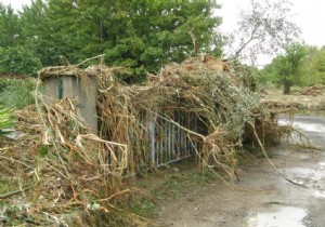 Post-Rain Garden Care: Smart Steps to Take (and Avoid) After Heavy Downpours