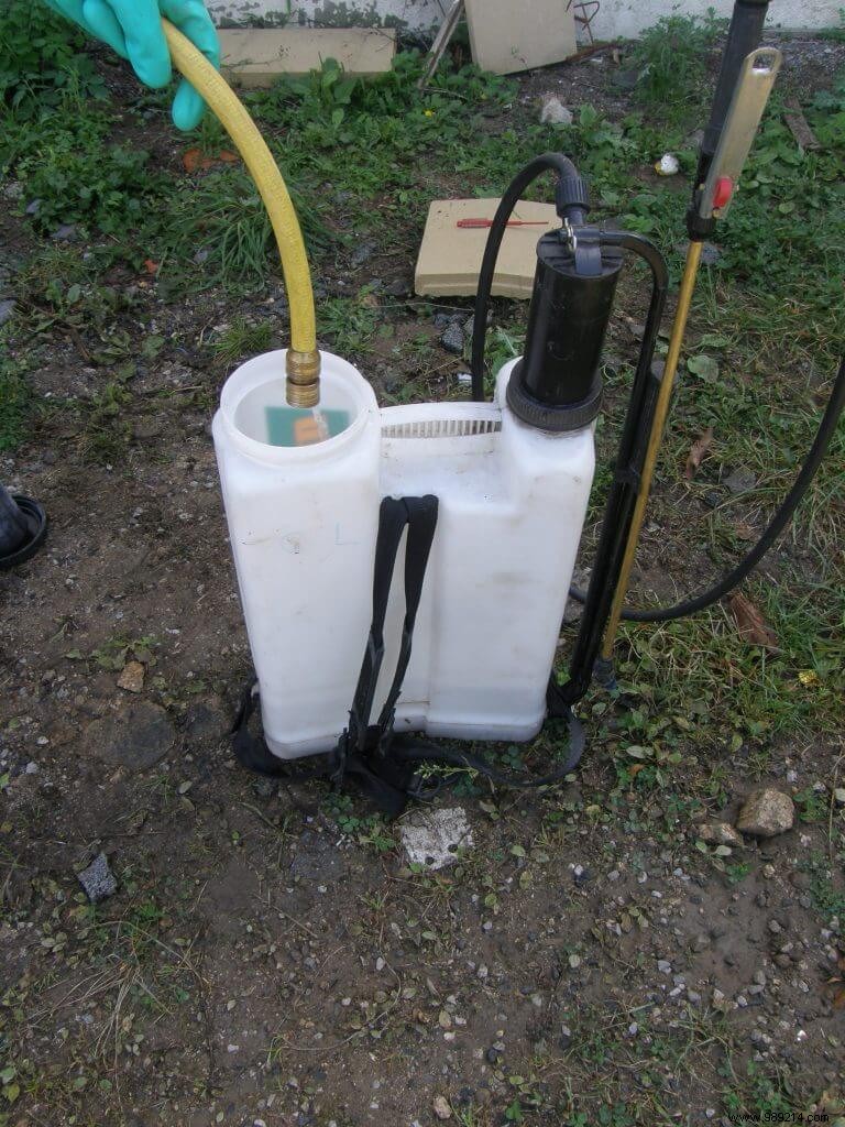 Natural Weed Killer: White Vinegar for Effective, Eco-Friendly Control