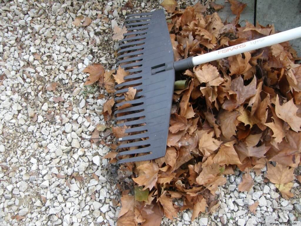 Can You Run a Gardening Business as an Auto-Entrepreneur? Insights from Real Experience