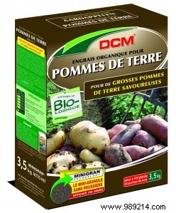 Expert Guide to Summer Fertilization: Replenish Your Vegetable Garden in July