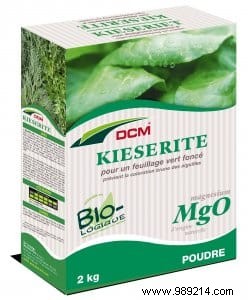 Expert Guide to Summer Fertilization: Replenish Your Vegetable Garden in July