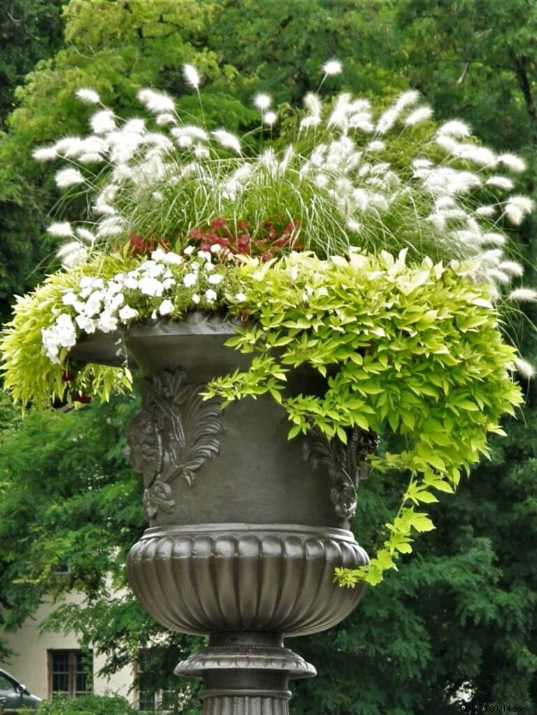 Expert Guide to Planting Window Boxes, Balconies, and Pots