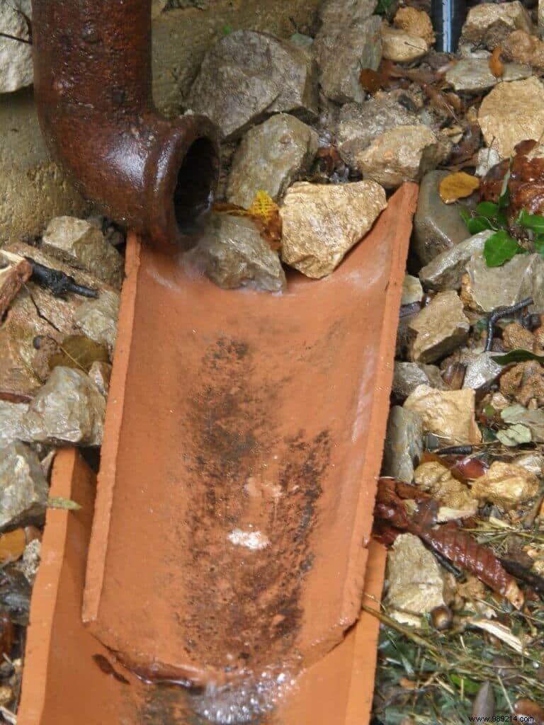 Eliminate Pesticides Naturally: Expert Irrigation Management Tips (Part 4 of 10)