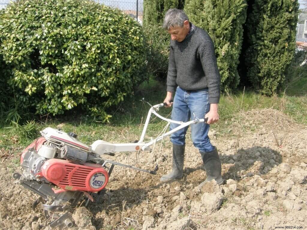 Ditch Pesticides in Your Garden: Boost Soil Fertility Naturally (Part 3 of 10)