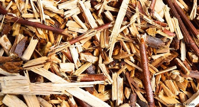 Boost Your Garden Soil with RCW: Ramial Chipped Wood Benefits and Expert Tips