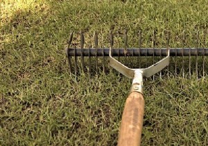 The Grelinette: An Essential Tool for Eco-Friendly Soil Care
