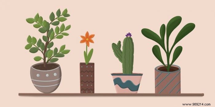 How to Safely Move Your Plants During a House Relocation: Expert Tips