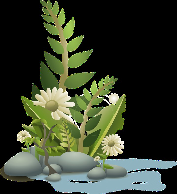 How to Safely Move Your Plants During a House Relocation: Expert Tips