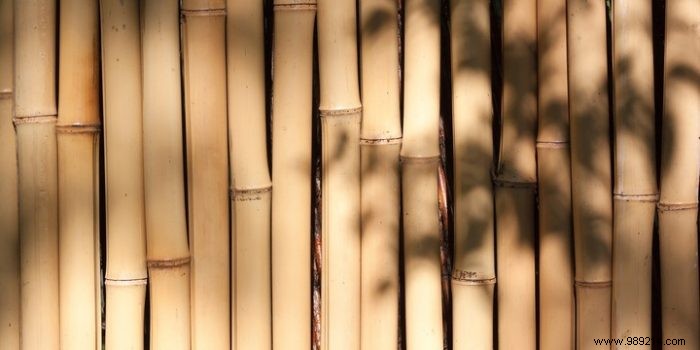 Essential Tools and Step-by-Step Guide to Building a DIY Bamboo Fence