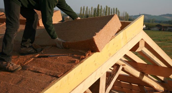 Top Natural Materials for Eco-Friendly Home Insulation