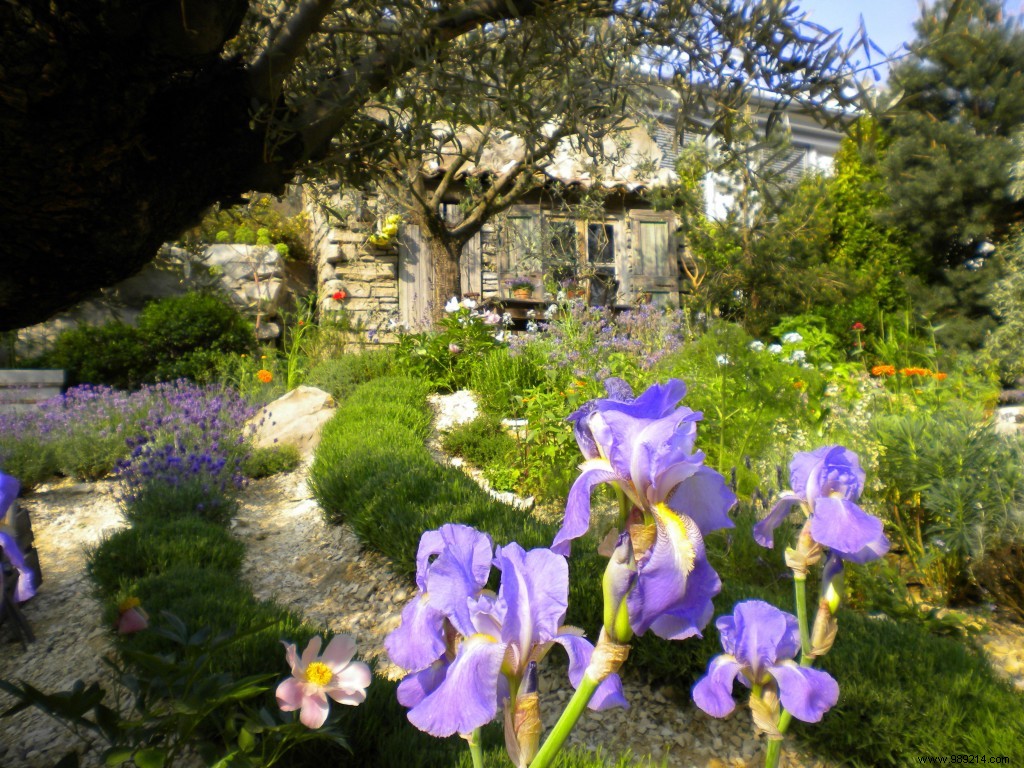 Designing Your Dream Japanese Garden: Expert Insights from Landscape Architect Benoit Laurensac