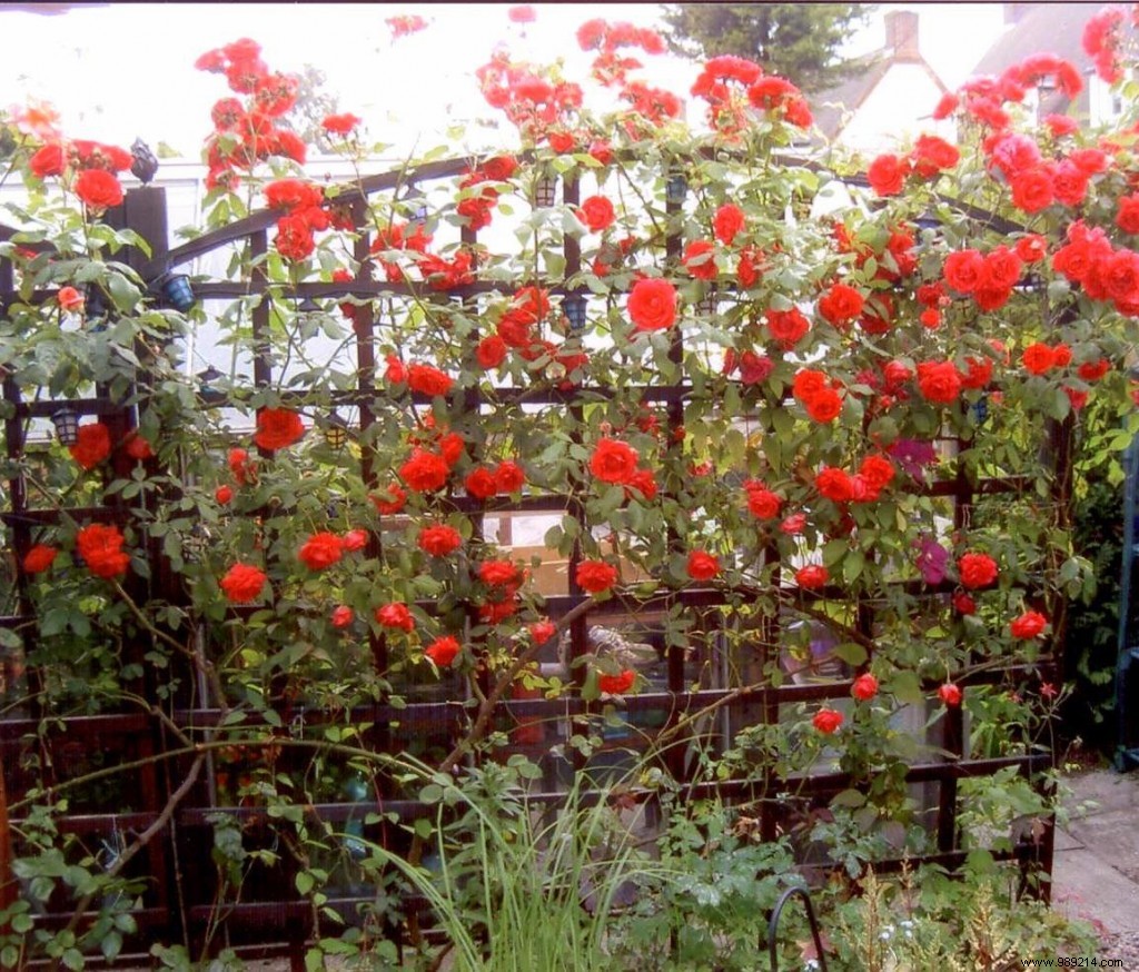 Crafting Timeless English Gardens: Expert Design by Benoit Laurensac