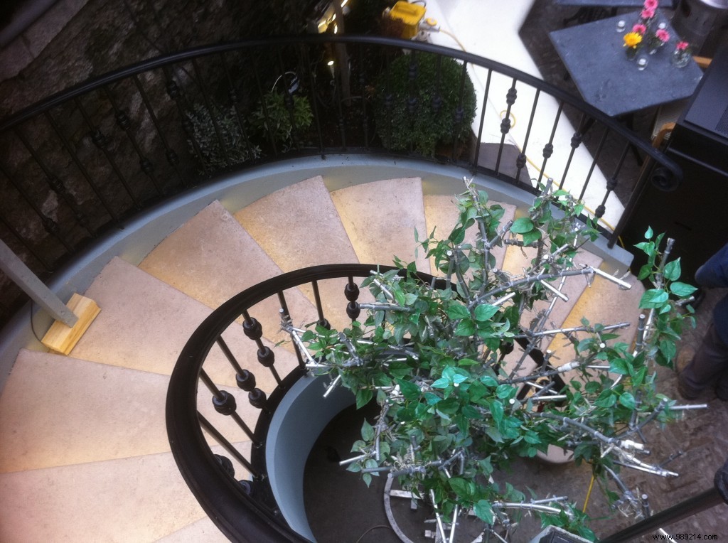 Transform Your Outdoor Staircase: Practical and Aesthetic Enhancement Tips