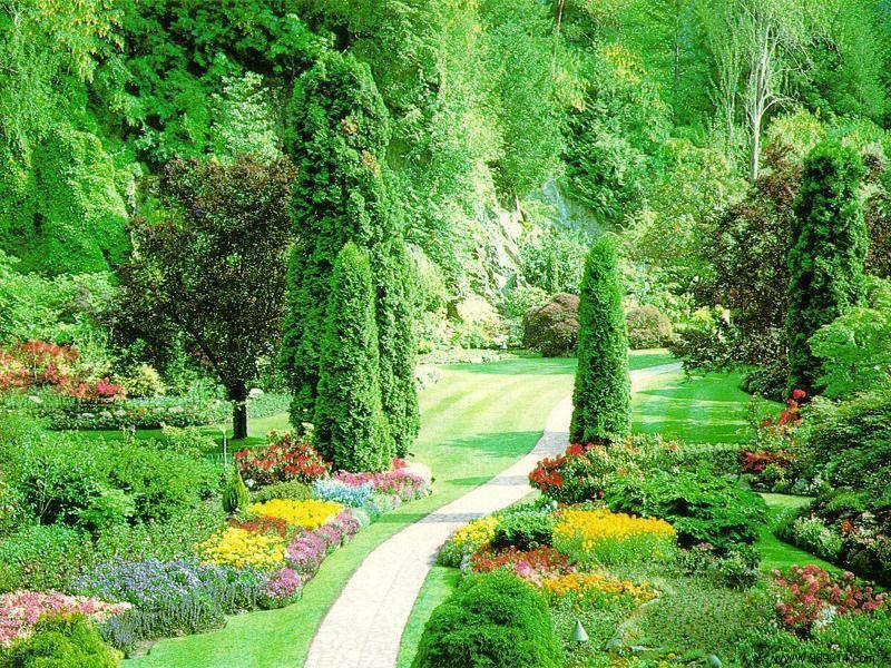 Expert Guide: How to Plan and Organize Your Dream Garden Effectively