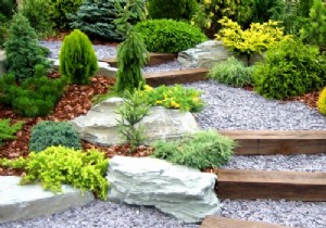 Expert Guide: How to Plan and Organize Your Dream Garden Effectively