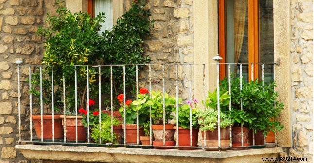 Create Your Balcony Paradise: Expert Tips to Bloom and Furnish Your Terrace