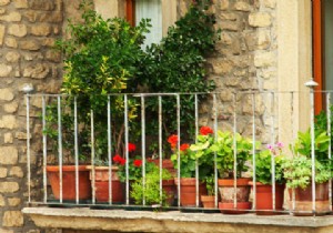 Create Your Balcony Paradise: Expert Tips to Bloom and Furnish Your Terrace