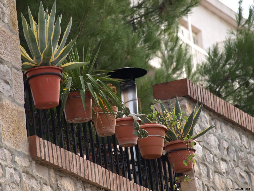 Create Your Balcony Paradise: Expert Tips to Bloom and Furnish Your Terrace