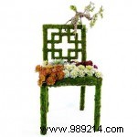 Expert Tips for Designing a Trendy, Modern Garden