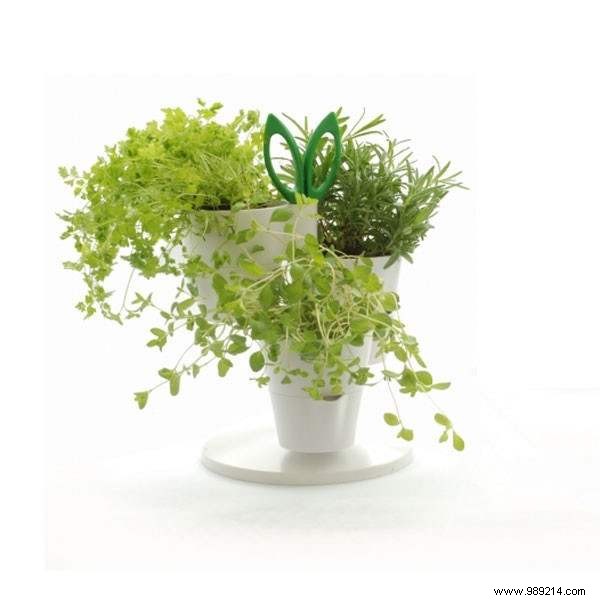 Create a Serene Indoor Garden: Expert Space-Saving Ideas for Relaxation