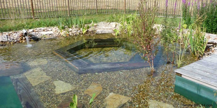 Is a Natural Swimming Pool Worth It? Expert Insights on Eco-Friendly Luxury