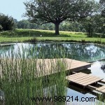 Is a Natural Swimming Pool Worth It? Expert Insights on Eco-Friendly Luxury