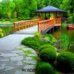 Create a Cozy Garden Retreat: A Haven for Butterflies, Birds, and Tranquil Moments