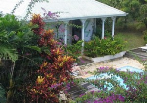 Create a Cozy Garden Retreat: A Haven for Butterflies, Birds, and Tranquil Moments