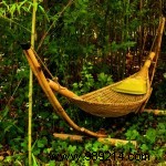 Create a Cozy Garden Retreat: A Haven for Butterflies, Birds, and Tranquil Moments