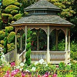 Create a Cozy Garden Retreat: A Haven for Butterflies, Birds, and Tranquil Moments