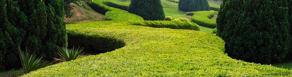 Landscape Architecture: The Art of Transforming and Elevating Nature