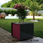 How to Choose the Perfect Pot for Every Plant: Expert Guide on Size and Material