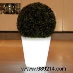 How to Choose the Perfect Pot for Every Plant: Expert Guide on Size and Material