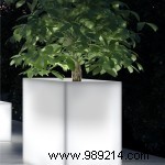 How to Choose the Perfect Pot for Every Plant: Expert Guide on Size and Material