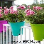 How to Choose the Perfect Pot for Every Plant: Expert Guide on Size and Material