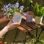 How to Choose the Perfect Pot for Every Plant: Expert Guide on Size and Material