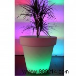 How to Choose the Perfect Pot for Every Plant: Expert Guide on Size and Material